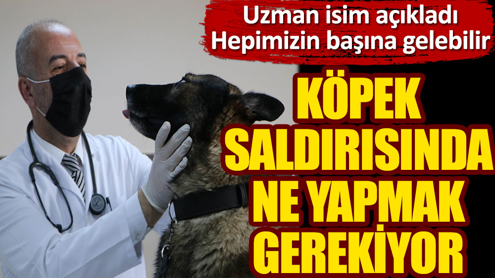 Köpek saldırısında ne yapmak gerekiyor. Prof. Dr. Mustafa Sinan Aktaş açıkladı