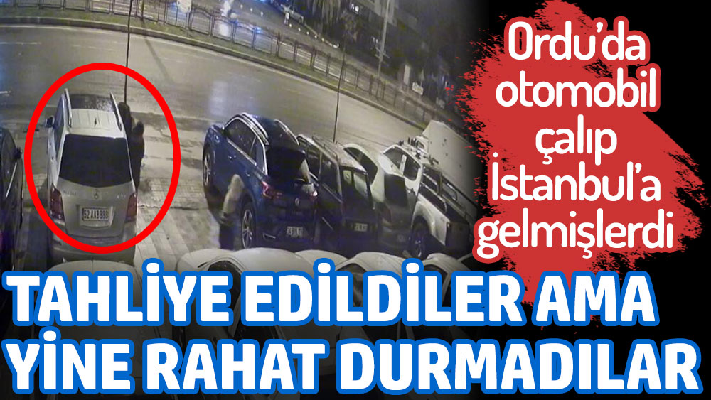 Daha önce de Ordu'dan otomobil çalıp İstanbul'a gelmişlerdi. Yine rahat durmadılar