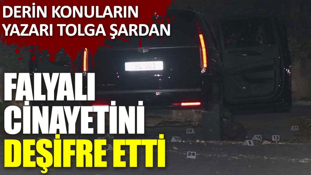 Derin konuların yazarı Tolga Şardan Falyalı cinayetini deşifre etti