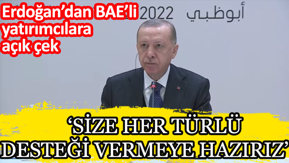 Erdoğan'dan BAE'li yatırımcılara açık çek