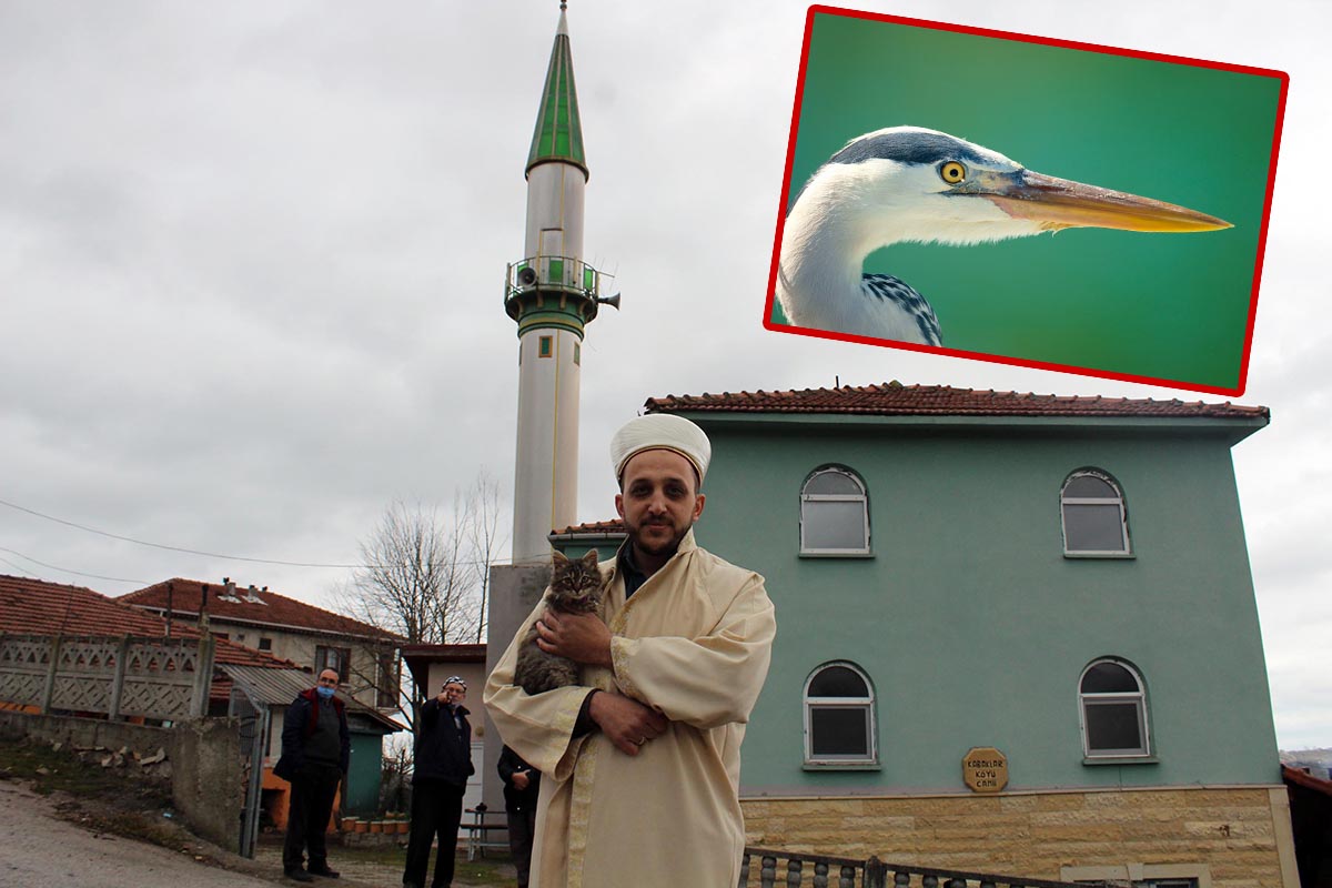 Bu imam başka imam! Doğa tutkunu 'kuş' fotoğrafçısı…