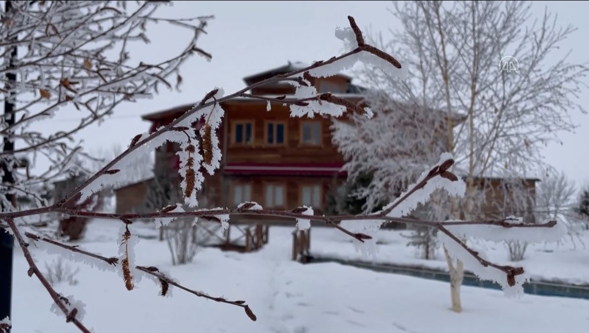 Erzurum ve Ardahan'da hayat buz tuttu
