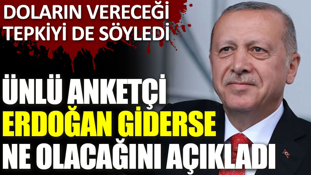 Ünlü anketçi Erdoğan giderse ne olacağını açıkladı! Doların vereceği tepkiyi de söyledi