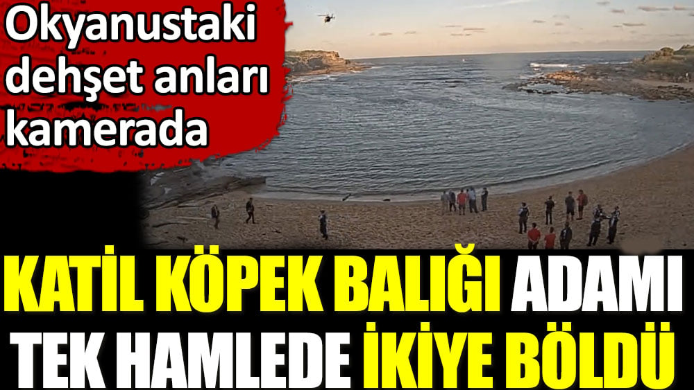 Katil köpek balığı adamı tek hamlede ikiye böldü