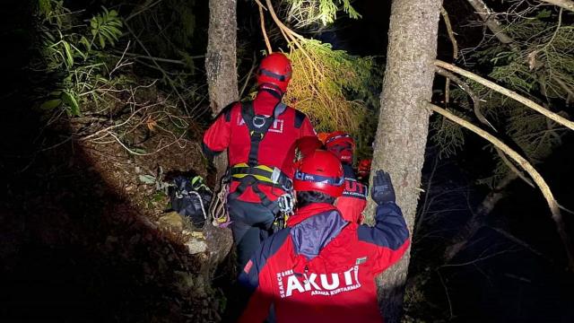 Odun toplayan kişi uçurumdan düşerek hayatını kaybetti
