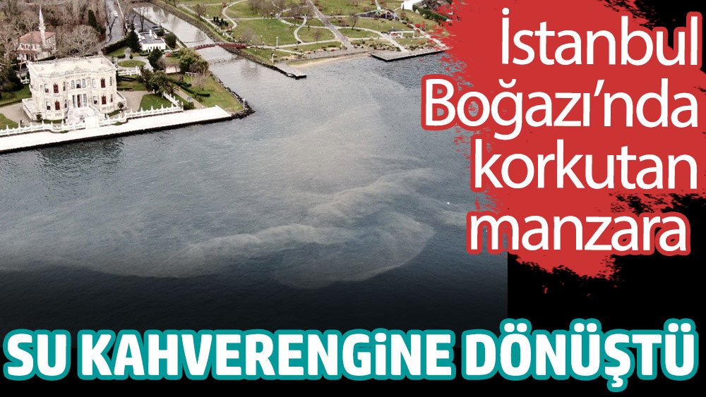 İstanbul Boğazı'nda korkutan manzara. Su kahverengine dönüştü