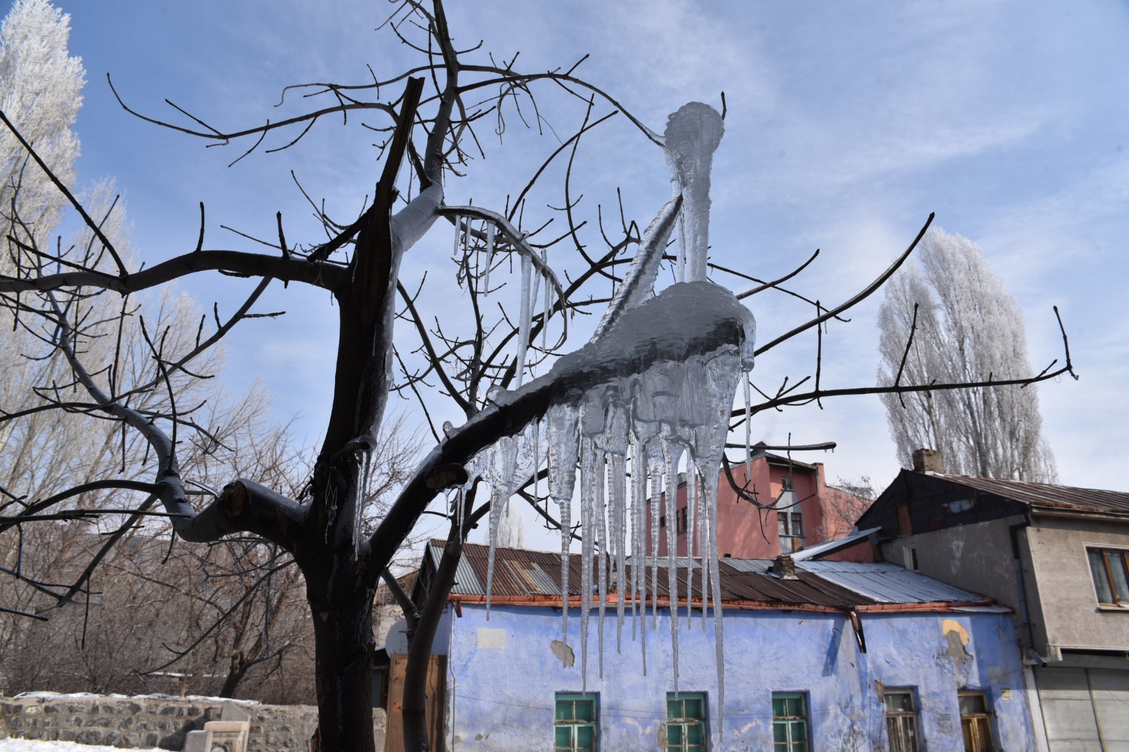 Kars, Ağrı ve Ardahan'da soğukla mücadele sürüyor