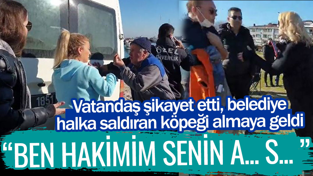 Bakırköy'de hayvanseverler ile belediye çalışanları birbirine girdi: Ben hakimim senin a... s...