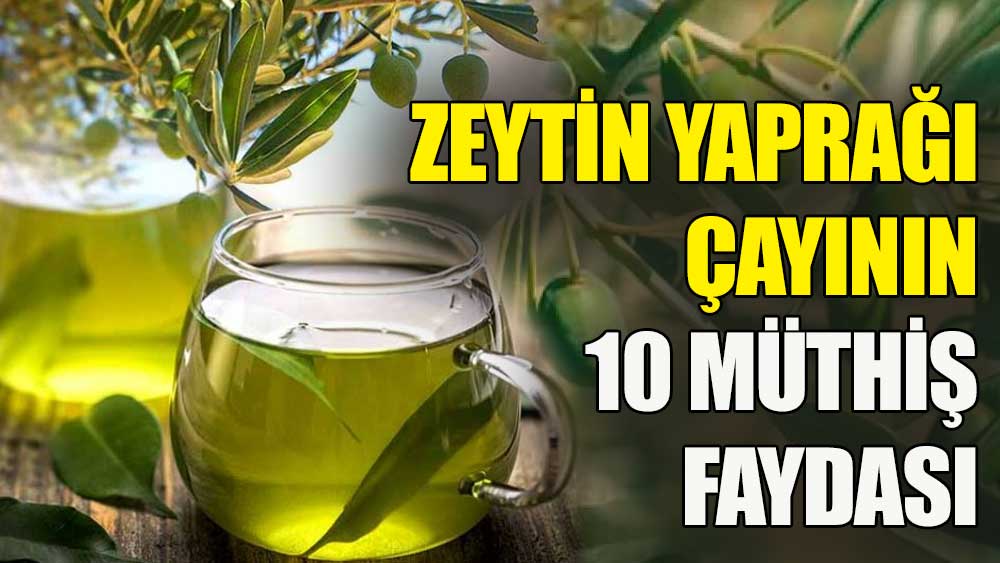 Zeytin yaprağı çayının 10 müthiş faydası