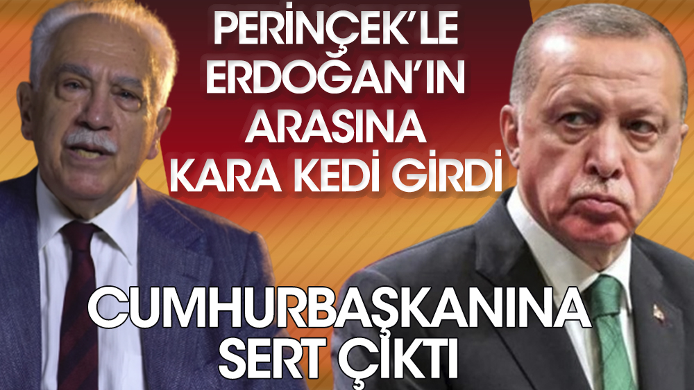 Vatan Partisi Genel Başkanı Doğu Perinçek Cumhurbaşkanı Erdoğan'a sert çıktı