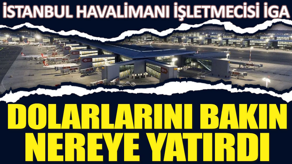 İstanbul Havalimanı işletmecisi İGA dolarlarını bakın nereye yatırdı