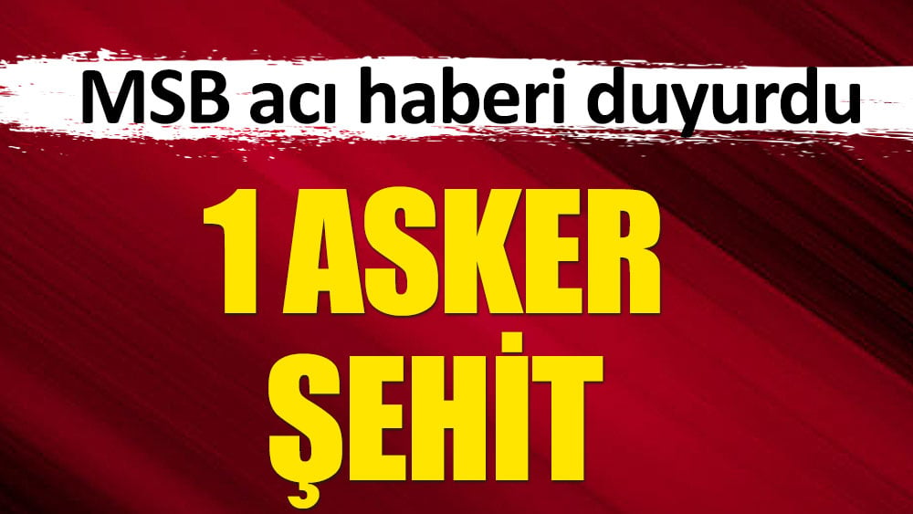 Milli Savunma Bakanlığı acı haberi duyurdu. 1 asker şehit