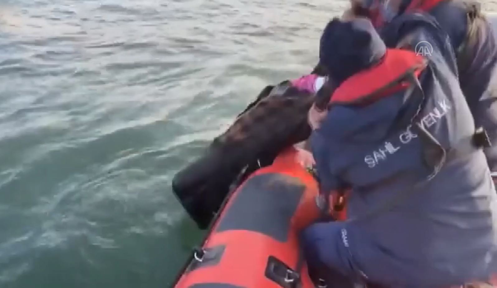 Denize düşen kadın Sahil Güvenlik ekiplerince kurtarıldı