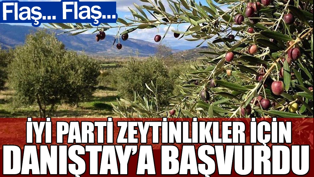 Flaş... İYİ Parti zeytinlikler için Danıştay'a başvurdu