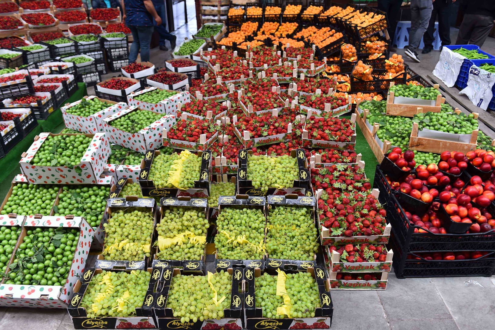 Rusya, Türkiye dahil 9 ülkeden sebze ithalatını artıracak
