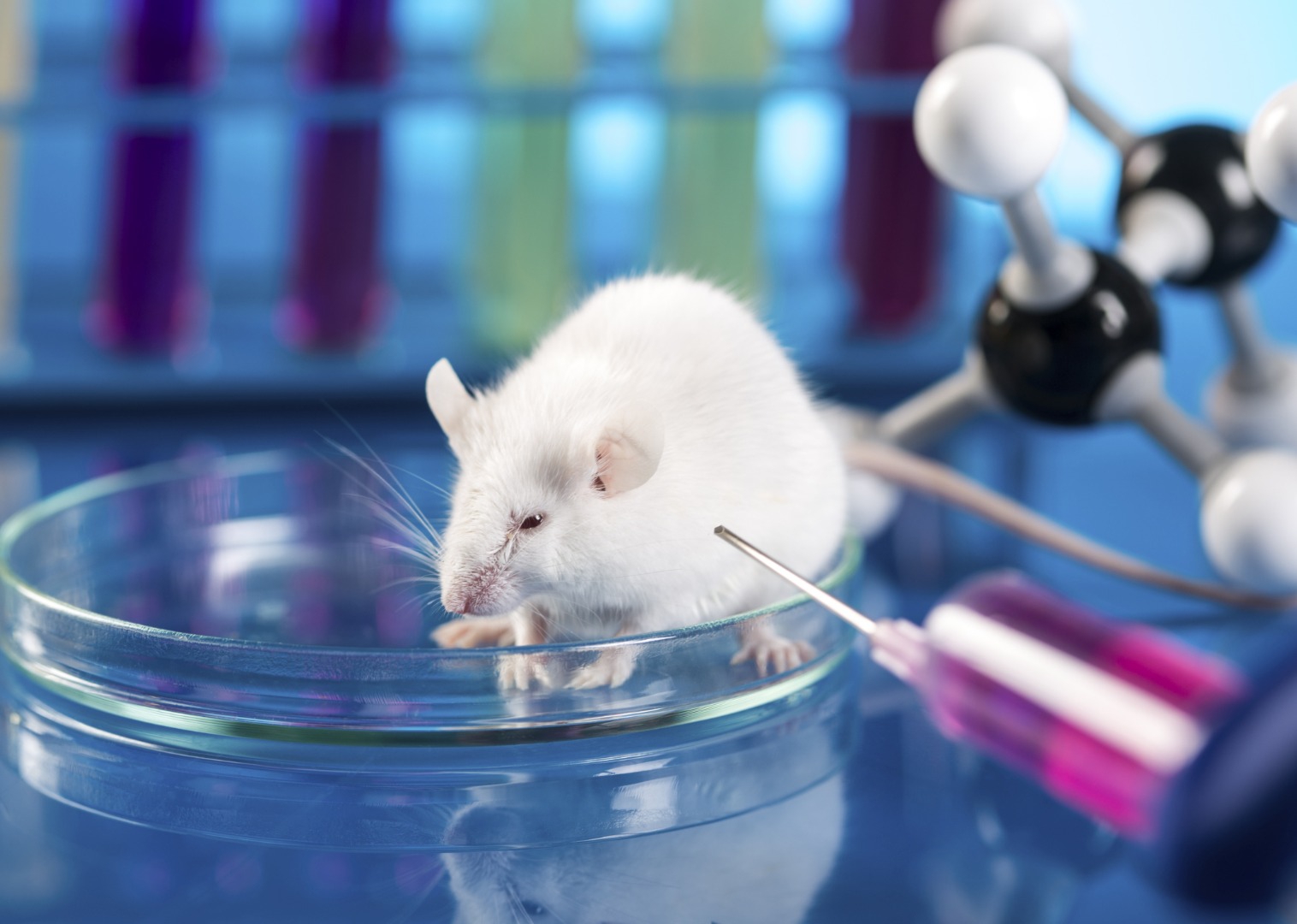 Bilim insanları, farelerdeki kanserli hücreleri kısa bir sürede yok eden yeni bir tedavi yöntemi geliştirdi
