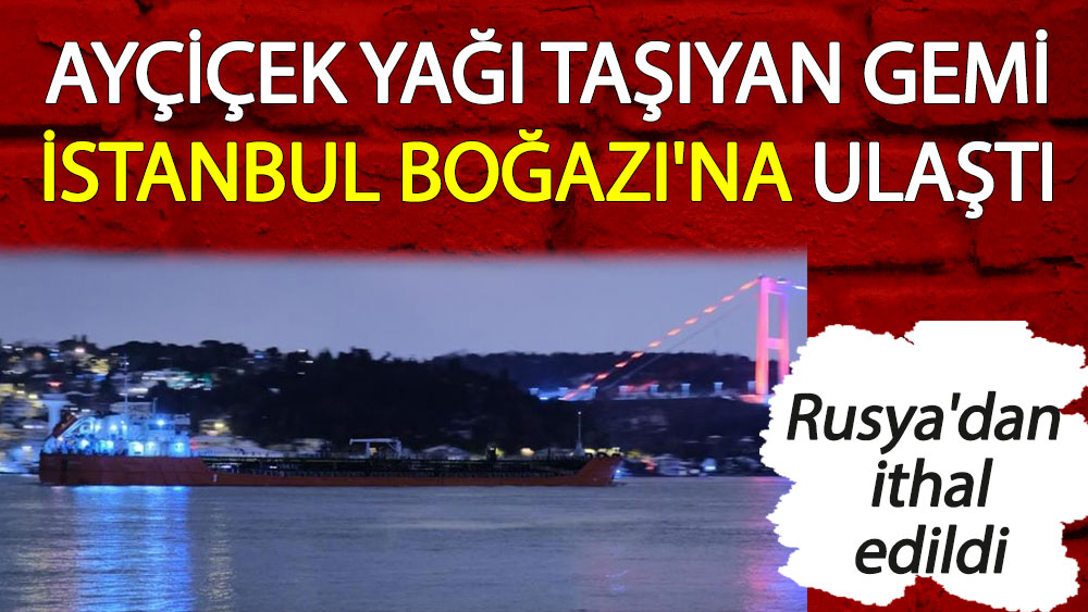 Ayçiçek yağı taşıyan gemi İstanbul Boğazı'na ulaştı