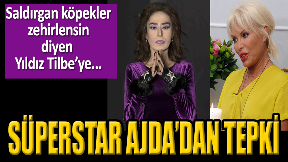 Ajda Pekkan'dan Yıldız Tilbe'ye Tepki!