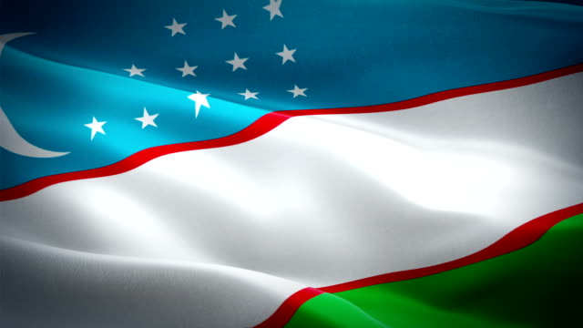 Özbekistan: Ukrayna'nın toprak bütünlüğünü tanıyoruz