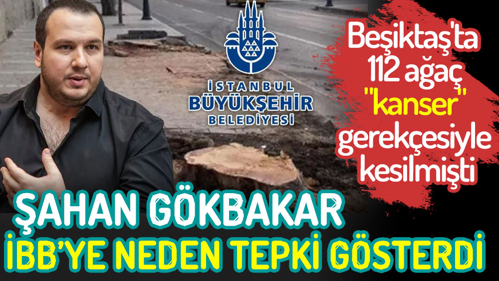 Şahan Gökbakar İBB’ye neden tepki gösterdi. Beşiktaş'ta 112 ağaç kanser nedeniyle kesilmişti!