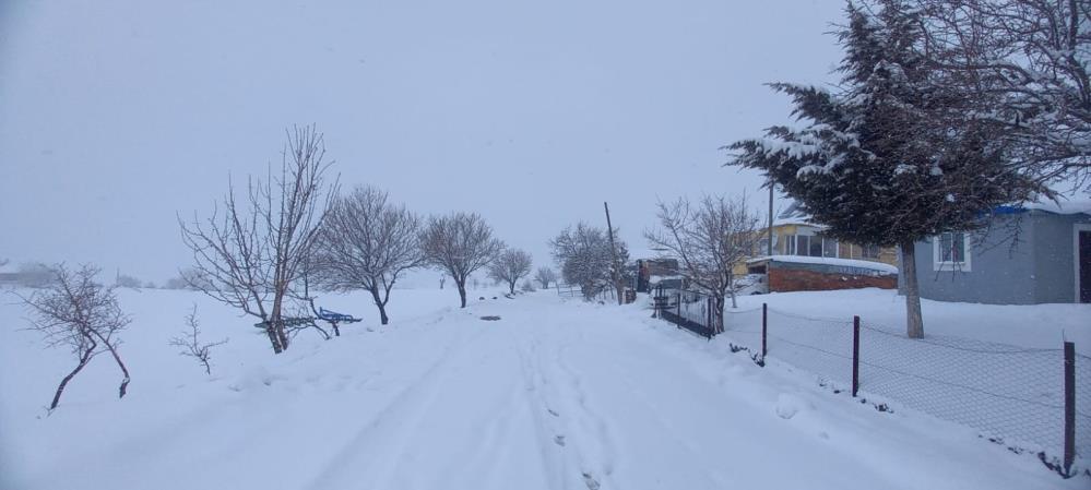 Tunceli’de 250 köy yolu ulaşıma kapandı