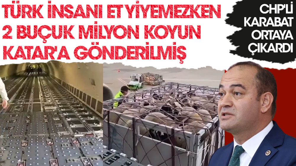 CHP'li Özgür Karabat ortaya çıkardı. Türk insanı et yiyemezken 2 buçuk milyon koyun Katar'a gönderilmiş