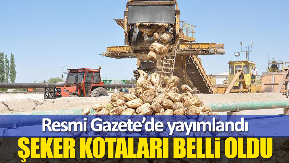 Şeker kotaları belli oldu