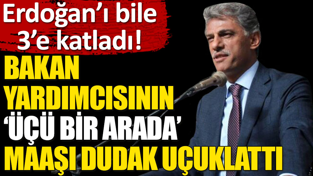 AKP'li Kültür ve Turizm Bakan Yardımcısı Nadir Alpaslan'ın 3 maaşının toplamı 313 bin TL!