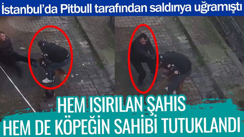 İstanbul'da pitbull tarafından saldırıya uğramıştı. Hem ısırılan şahıs hem de köpeğin sahibi tutuklandı