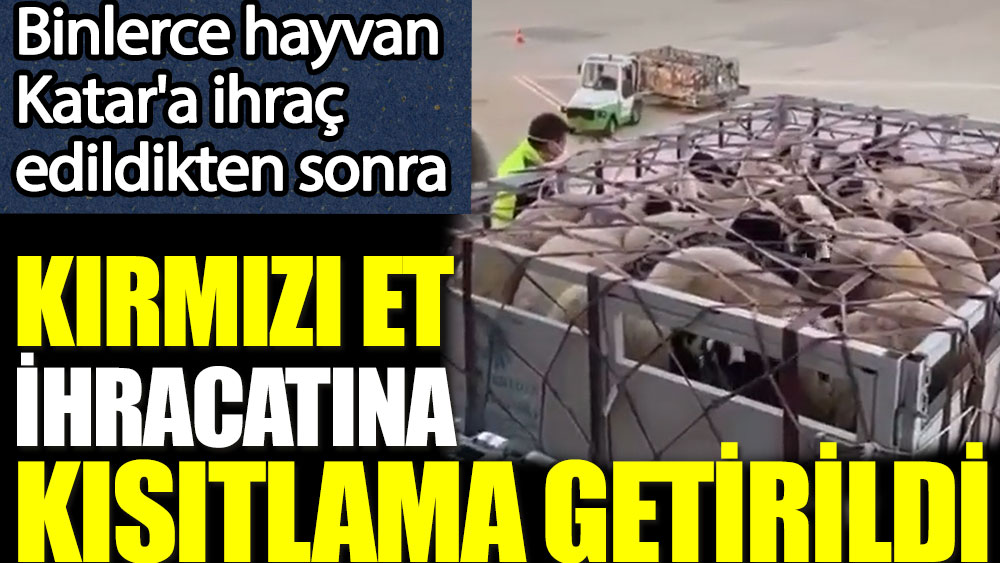 Kırmızı et ihracatına kısıtlama getirildi. Katar'a binlerce hayvan ihraç edildikten sonra