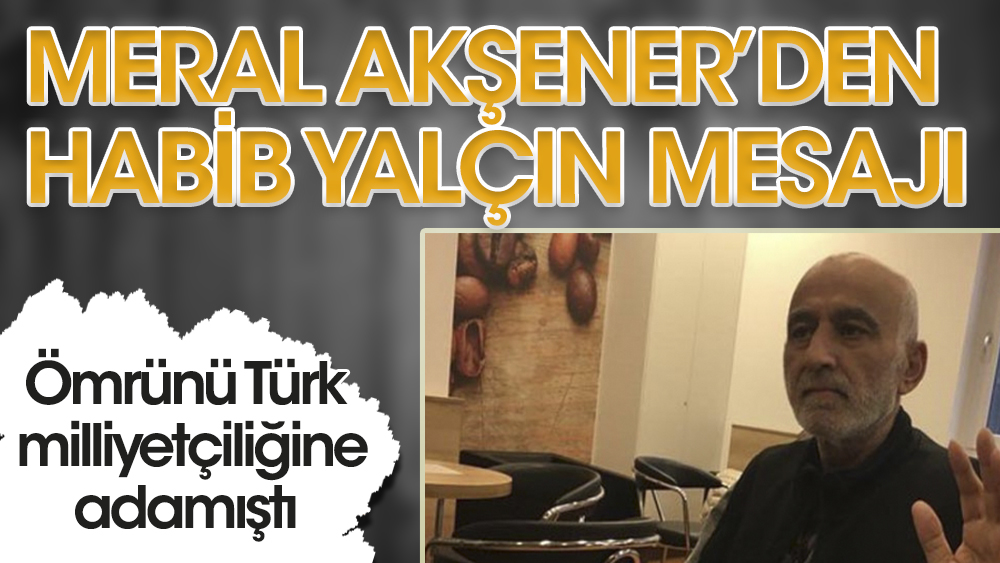 Meral Akşener'den Habip Yalçın mesajı: Ömrünü Türk milliyetçiliği davasına adamıştı