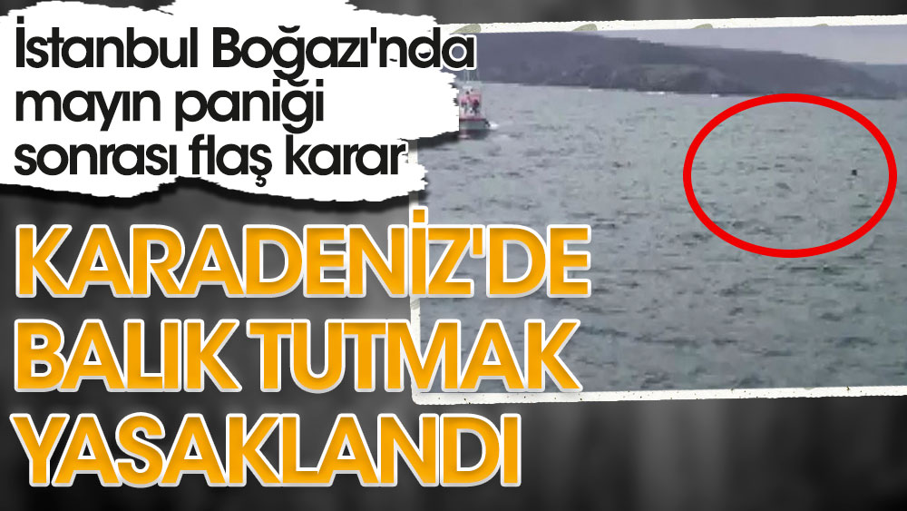 İstanbul Boğazı'nda mayın paniği sonrası flaş karar. Karadeniz'de balık tutmak yasaklandı