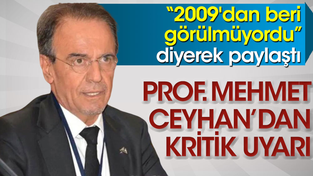 Prof. Mehmet Ceyhan'dan kritik uyarı. 13 yıldır görülmüyordu!