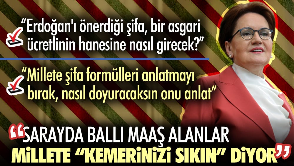 Meral Akşener’den Erdoğan’a: Herşeyoloji’ profesörü