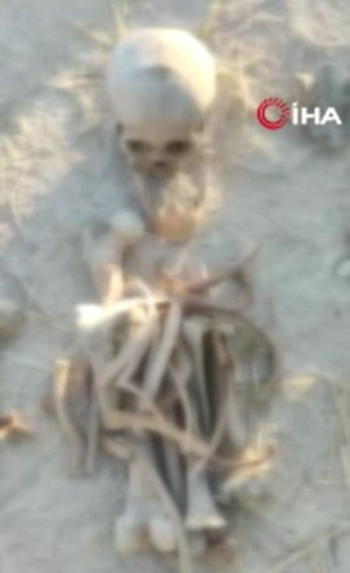 Karabağ'da 3 insan iskeleti bulundu