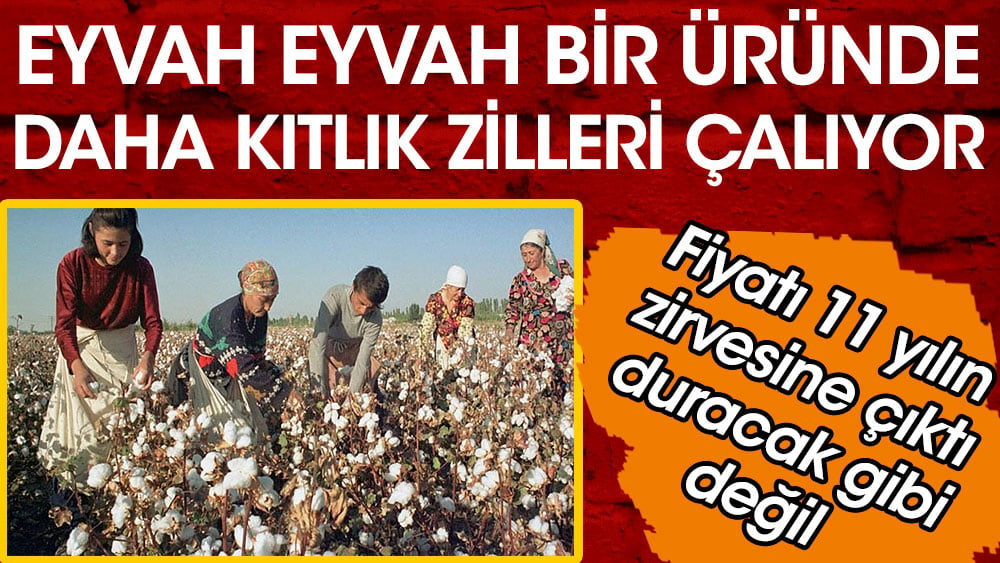 Eyvah eyvah bir üründe daha kıtlık zilleri çalıyor