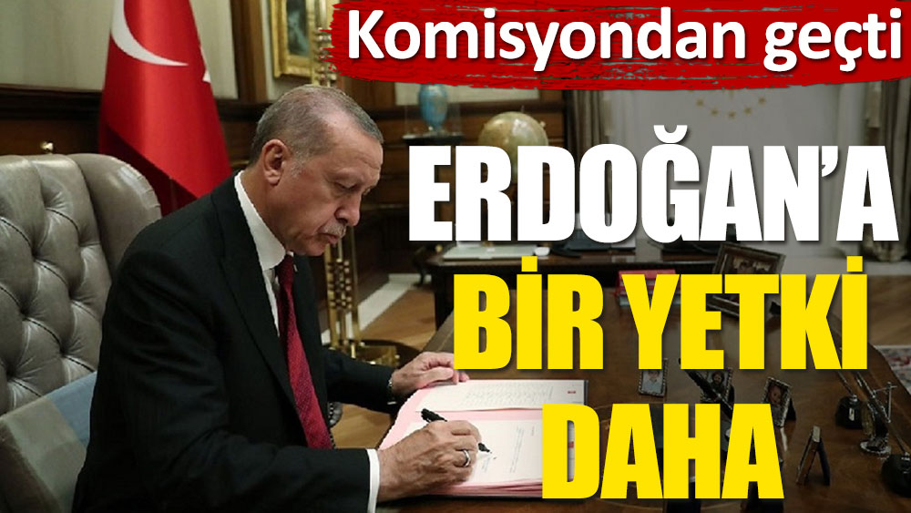 Erdoğan’a bir yetki daha: Seyahat acentalarının yıllık aidatını Cumhurbaşkanı belirleyecek