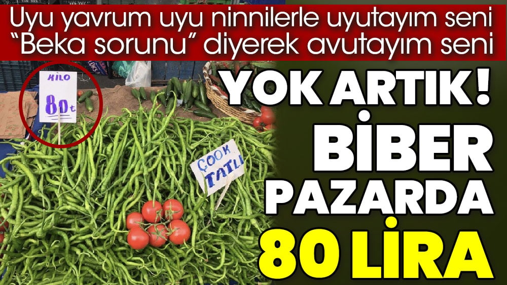 Yok artık biber pazarda 80 lira. Uyu yavrum uyu ninnilerle uyutayım seni Beka sorunu diyerek avutayım seni