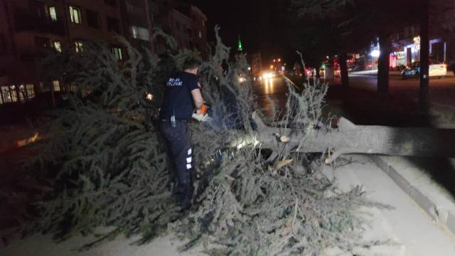 Bursa'da lodos etkili: Ağaçlar devrildi