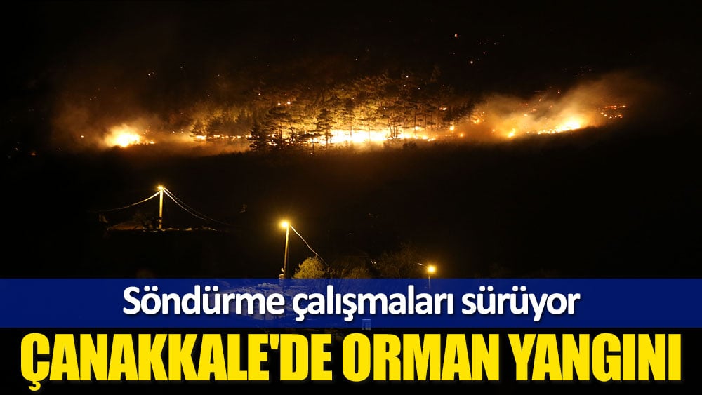 Çanakkale'deki yangına müdahaleler sürüyor