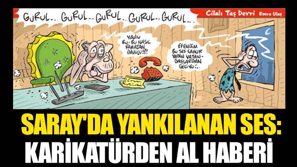 Saray'da yankılanan ses: Karikatürden al haberi