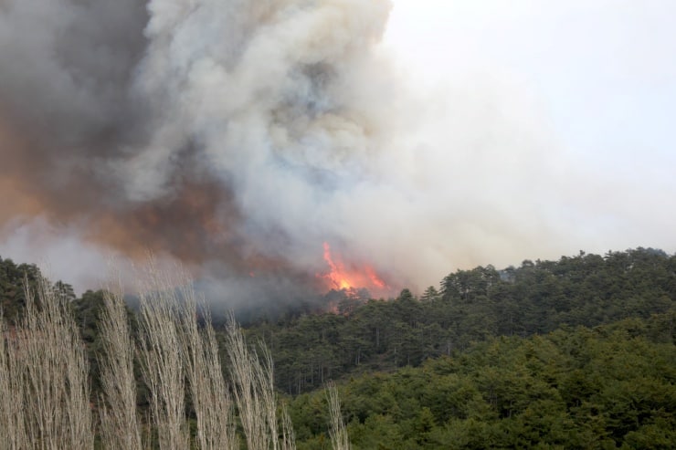 İYİ Parti, havaların ısınması ile başlayan orman yangınları için harekete geçti