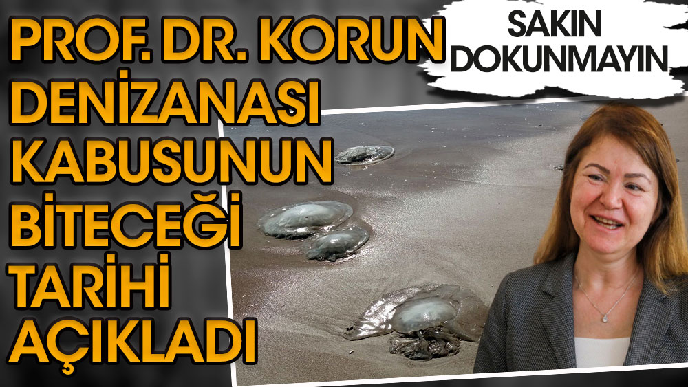 Prof. Dr. Korun denizanası kabusunun biteceği tarihi açıkladı! Sakın dokunmayın…