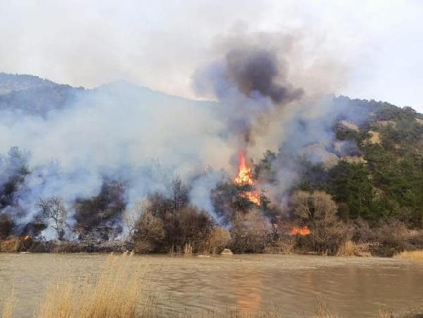 Çorum’da 2 orman yangını. 11 hektar alan zarar gördü