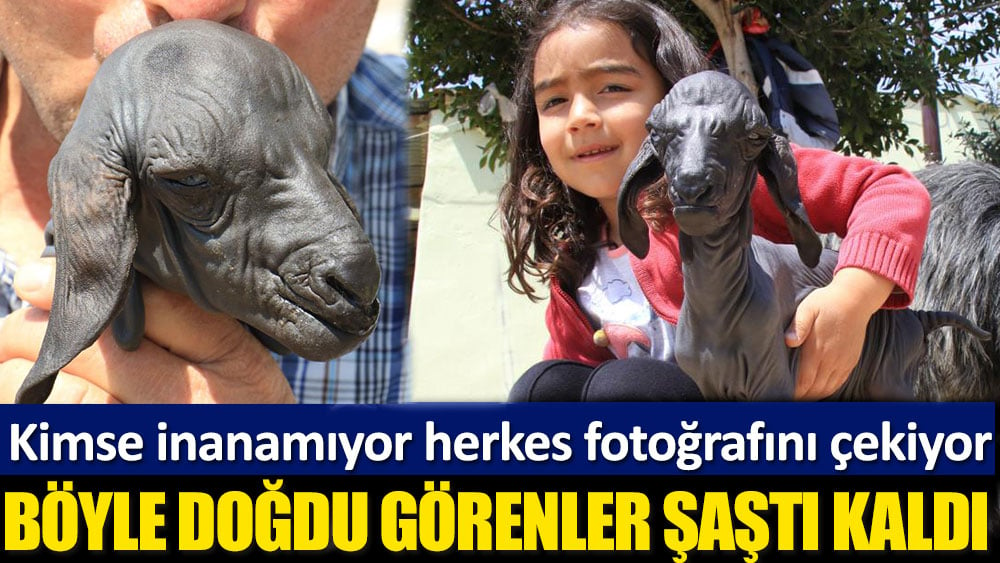 Böyle doğdu görenler şaştı kaldı