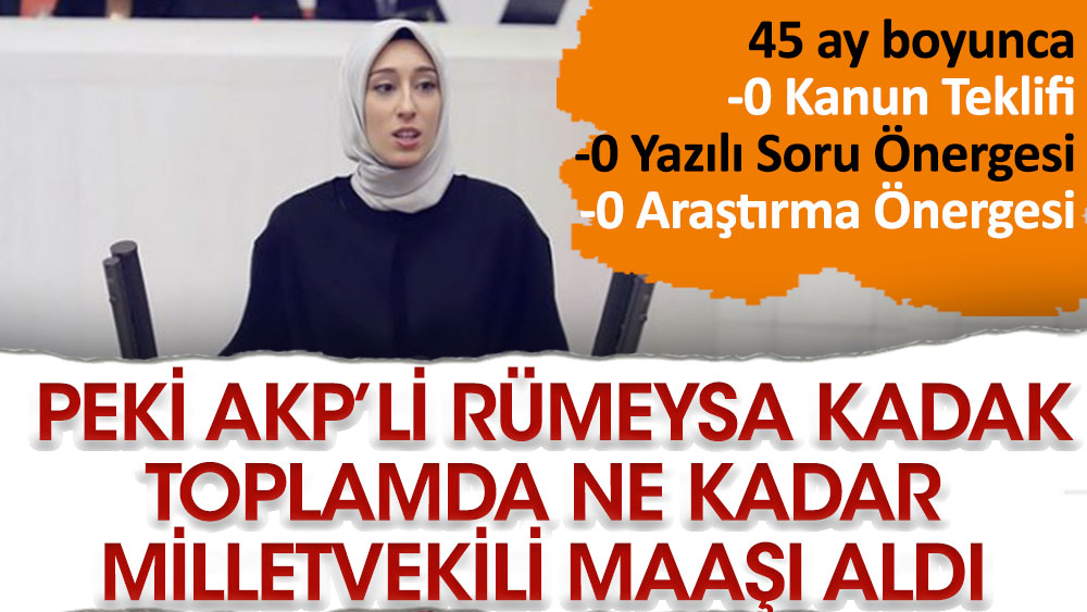 AKP'li Rümeysa Kadak, 0 araştırma önergesi, 0 soru önergesiyle ne kadar milletvekili maaşı aldı?