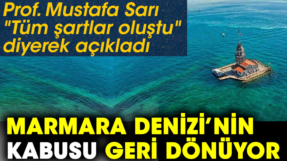 Marmara Denizi'nin kabusu geri dönüyor