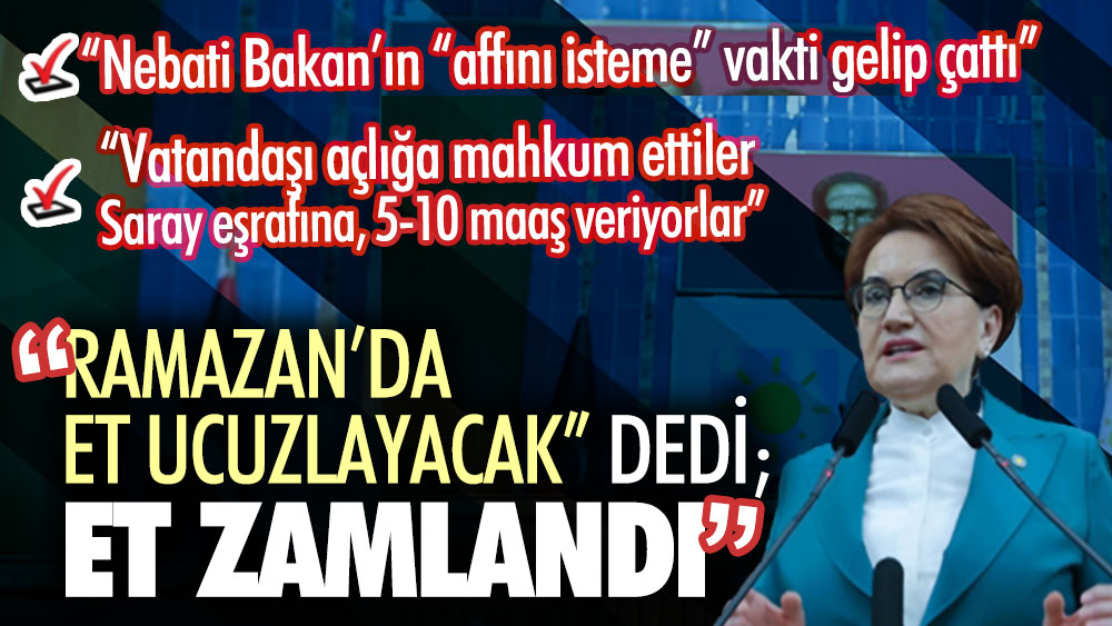 İYİ Parti lideri Meral Akşener canlı yayında açıkladı: Affını isteyecek