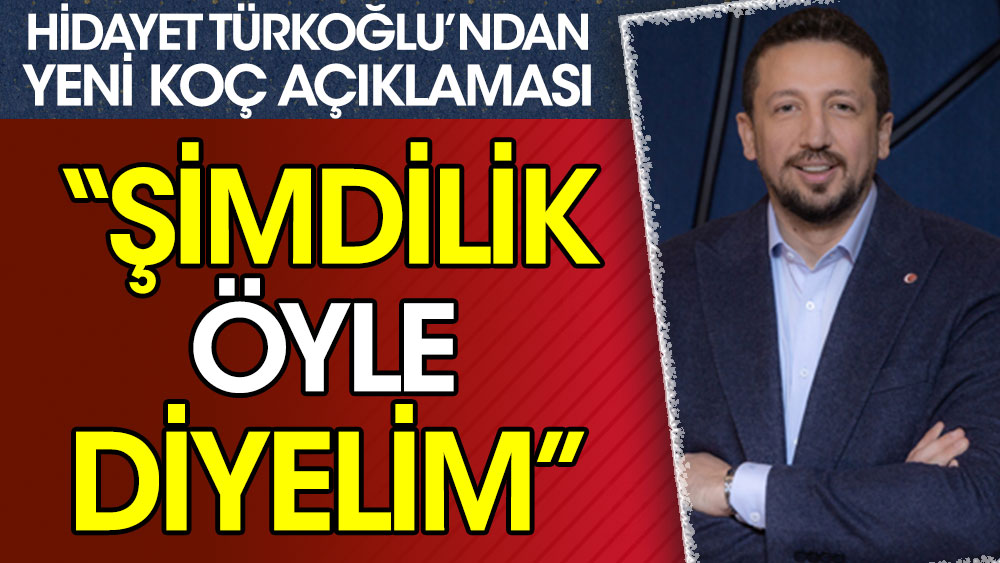 Hidayet Türkoğlu'ndan milli takım için yeni koç açıklaması! Şimdilik...