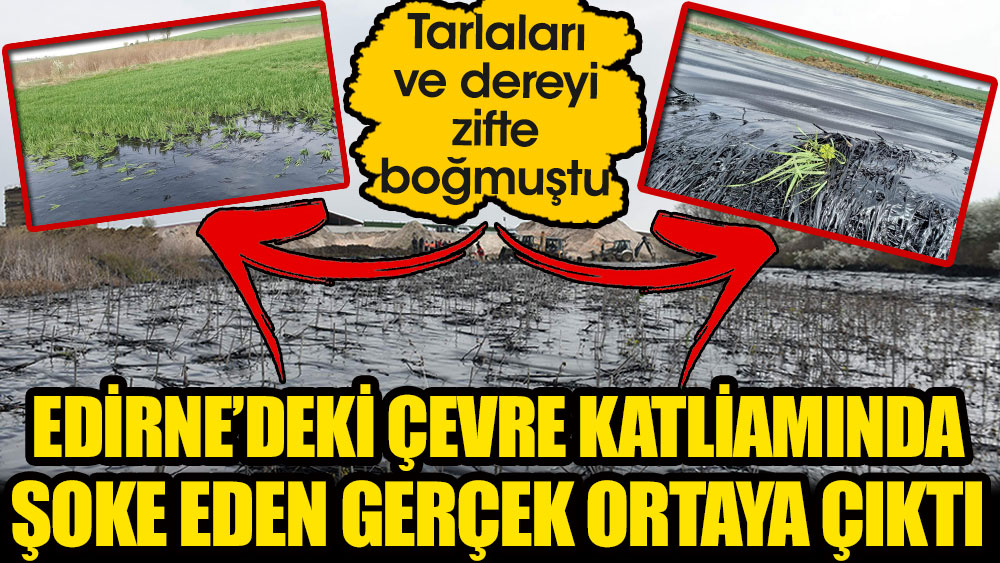 Edirne'deki çevre katliamında şoke eden gerçek ortaya çıktı! Tarlaları ve dereyi zifte boğmuştu…